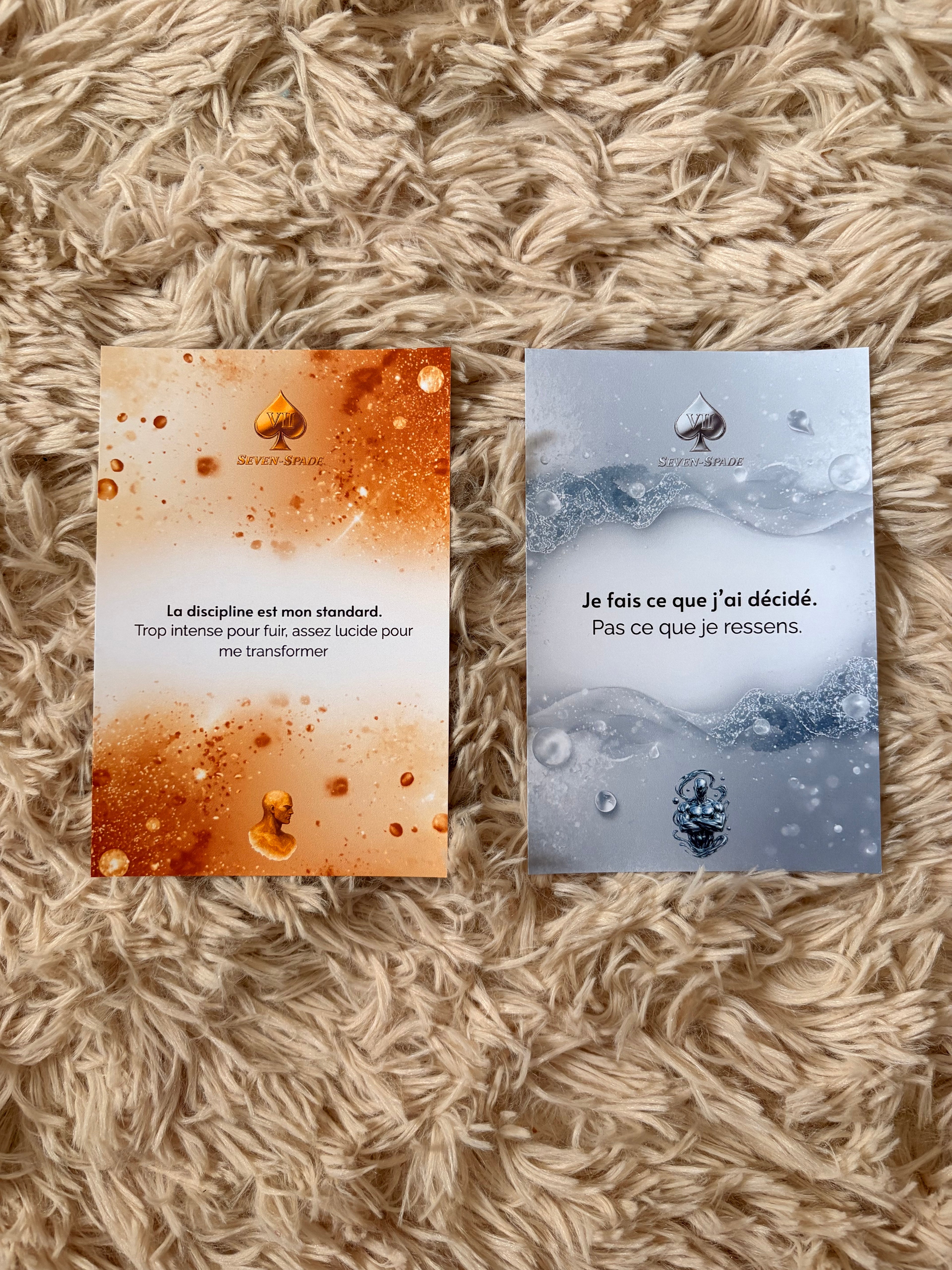Pack 2 Affiches avec ou sans Cadre Discipline — Édition Premium Gold & Chrome — Seven Mind